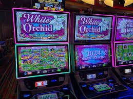 Push Gaming deposit process via DANA and QRIS on 1nwin login